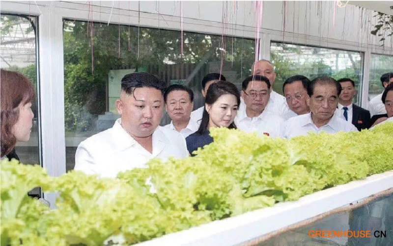 4.朝鮮最高領(lǐng)導(dǎo)人、朝鮮勞動(dòng)黨總書(shū)記金正恩到訪創(chuàng)新園