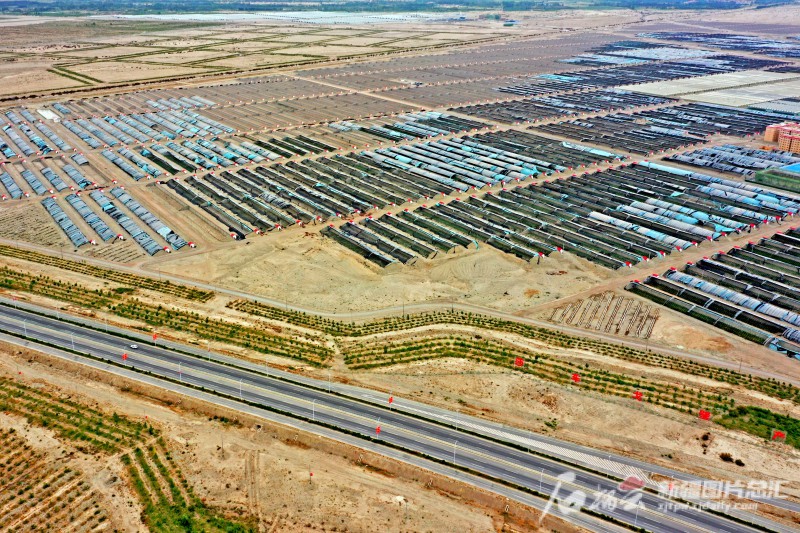 莎車縣戈壁產(chǎn)業(yè)園里，3000座溫室大棚成為荒灘上最具活力的地方。天山網(wǎng)-新疆日報記者 蔡增樂 攝