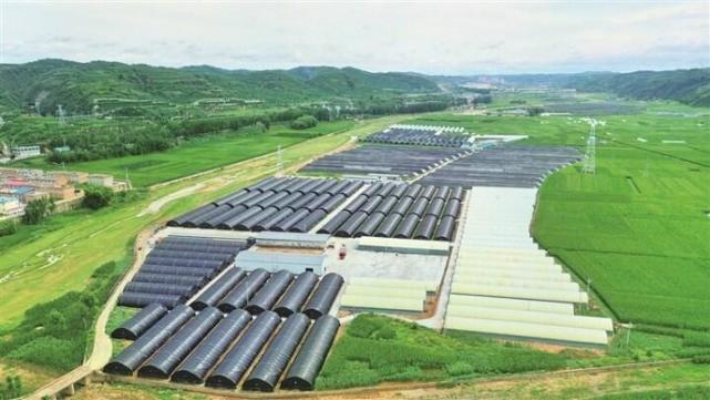 無(wú)人機(jī)航拍的臨縣城莊千畝設(shè)施蔬菜示范園區(qū)